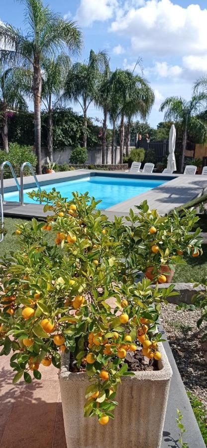 Le Stanze Dei Colori Hotel Aci Bonaccorsi Buitenkant foto